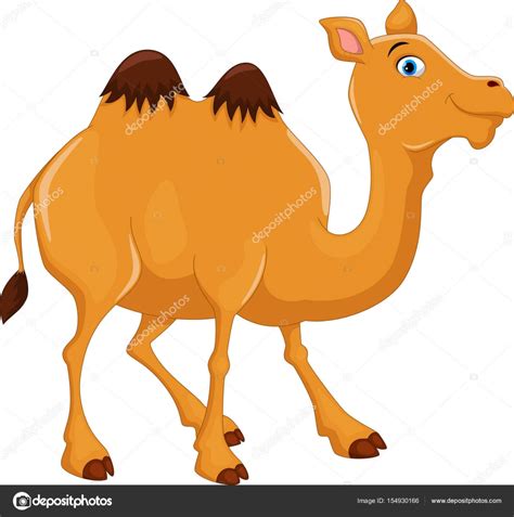 camelo desenho-4